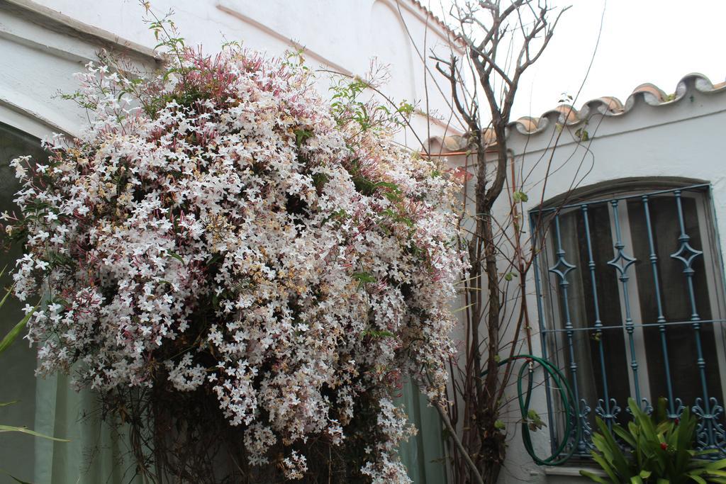 Casa Colonia Villa La Línea de la Concepción Dış mekan fotoğraf